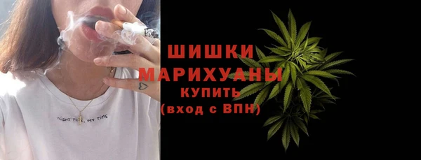 мдпв Володарск