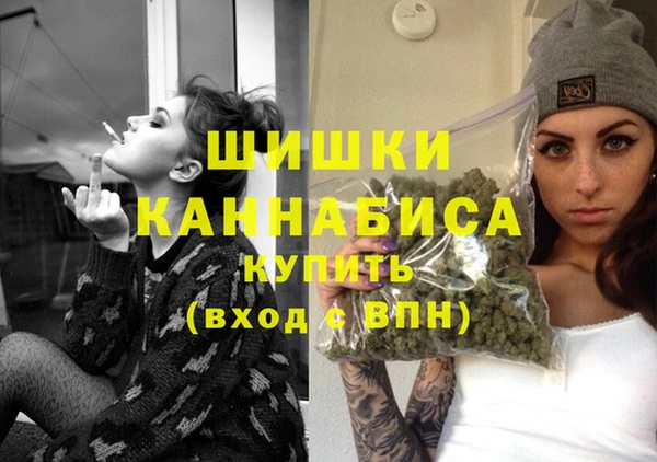 мдпв Володарск