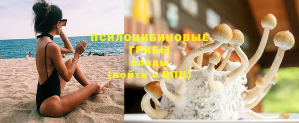 мдпв Володарск