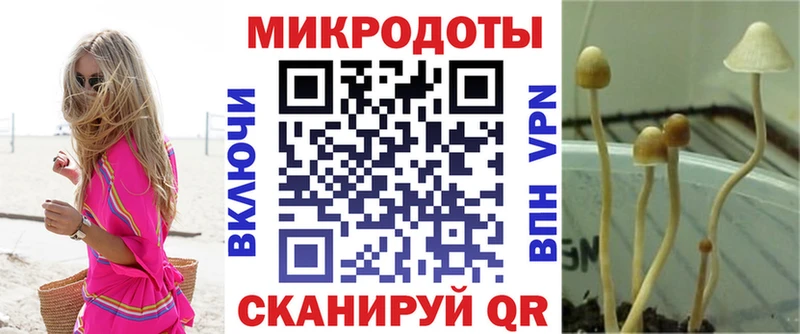 нарко площадка телеграм  Пестово  Галлюциногенные грибы прущие грибы  купить наркоту 