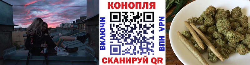 где продают наркотики Пестово Каннабис семена
